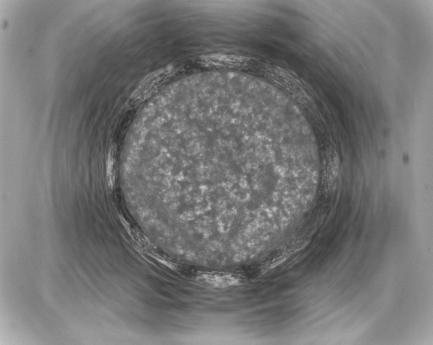 X0000085840749200704091723