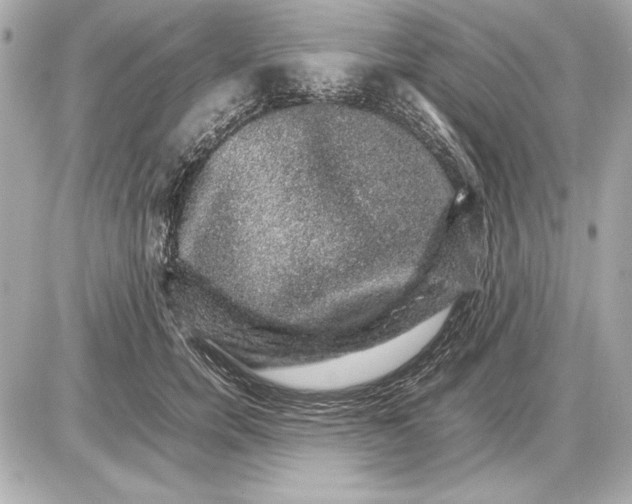 X0000085840750200704091723