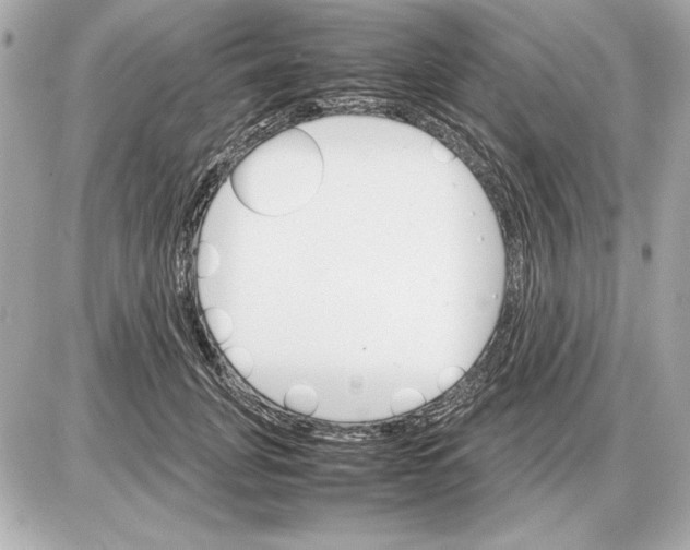 X0000085840751200704091723