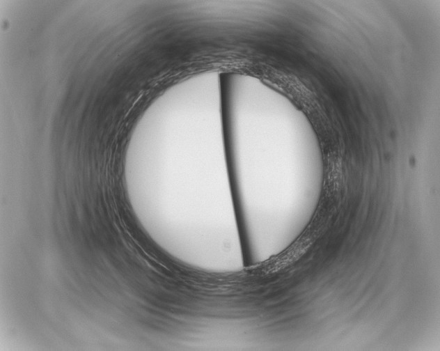 X0000085840752200704091723