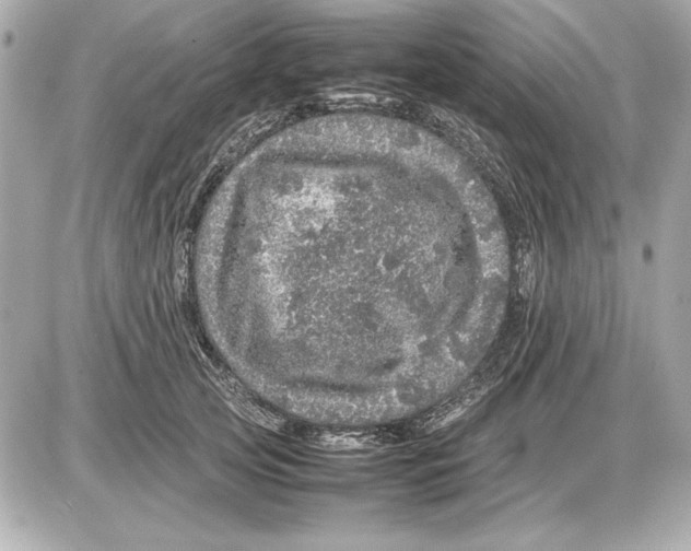 X0000085840753200704091723