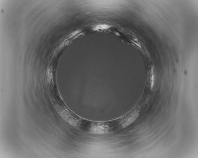 X0000085840754200704091723