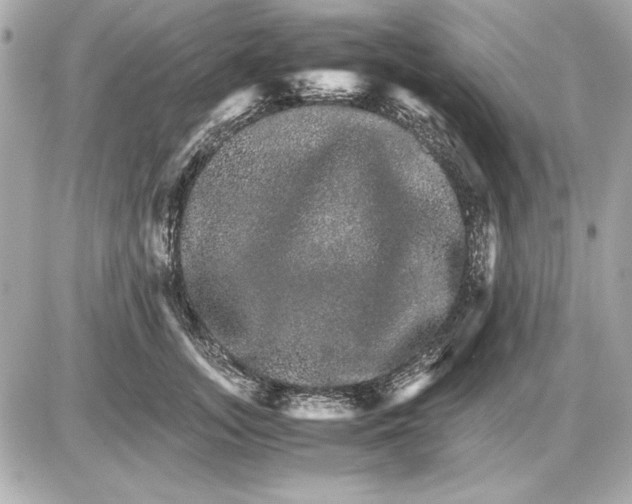 X0000085840755200704091723