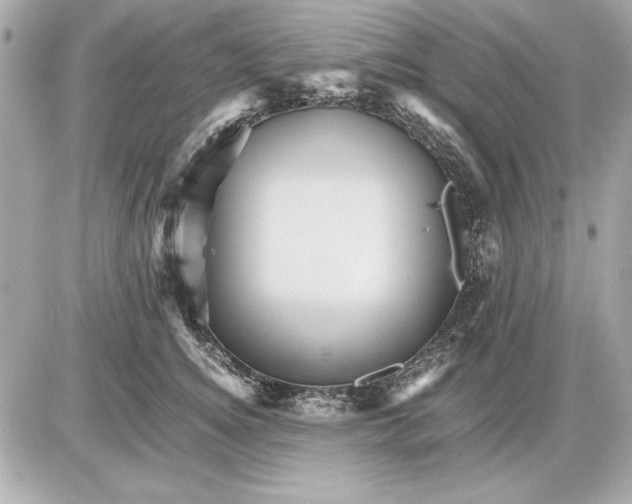 X0000085840756200704091723