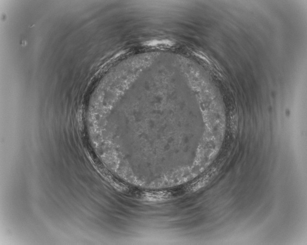 X0000085840757200704091723