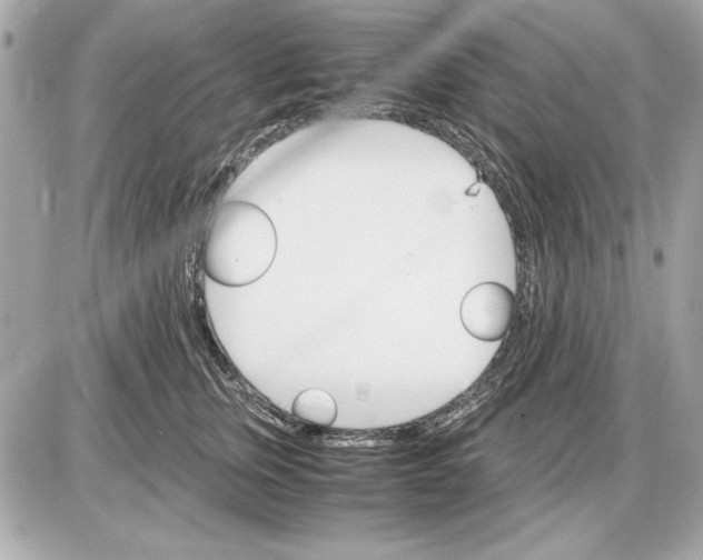 X0000085840759200704091723