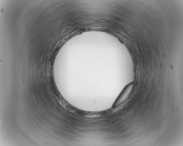 X0000085840760200704091723