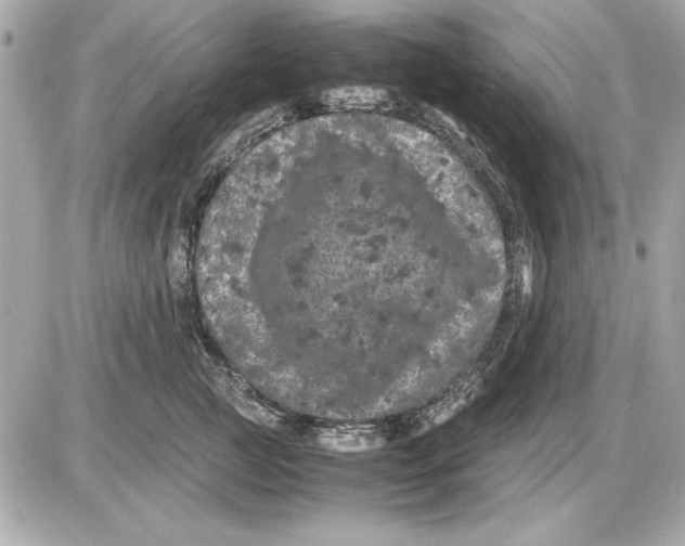 X0000085840761200704091723