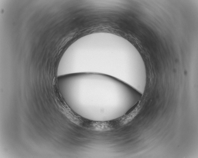 X0000085840762200704091723