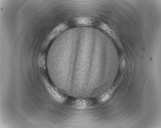 X0000085840764200704091723