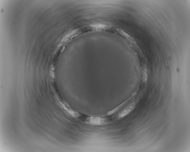 X0000085840766200704091723