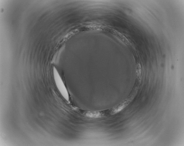 X0000085840767200704091723