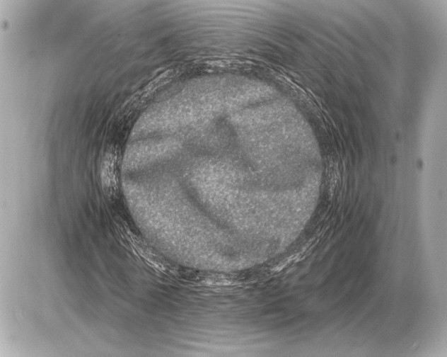 X0000085840770200704091722