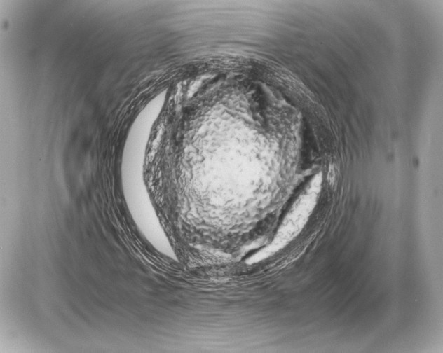X0000085840771200704091722