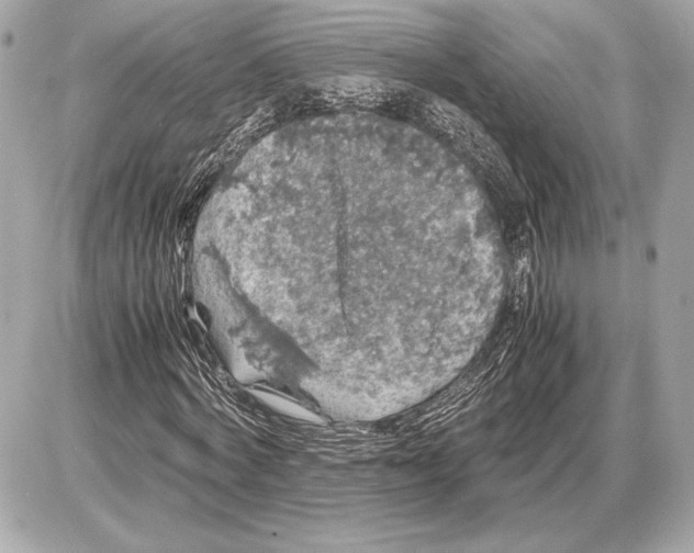 X0000085840772200704091722