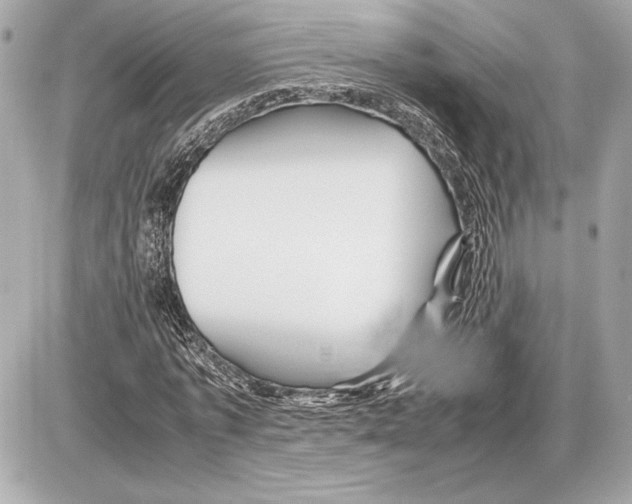 X0000085840773200704091722