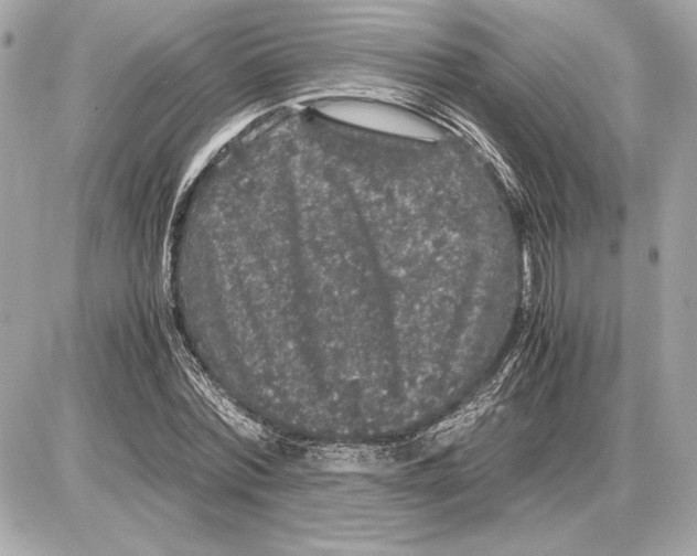 X0000085840780200704091722