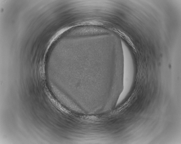 X0000085840784200704091722