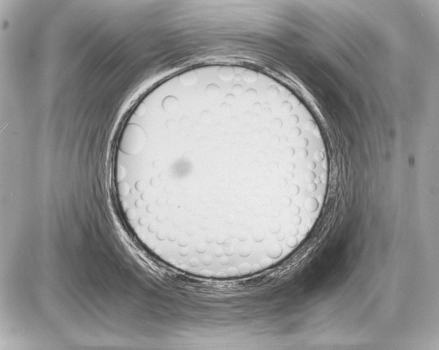 X0000085840795200704091722