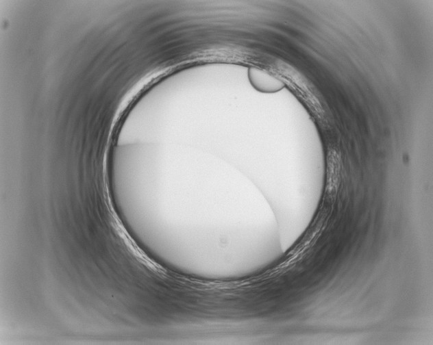 X0000085840796200704091722