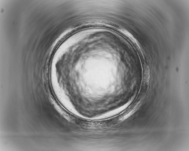 X0000085840799200704091722