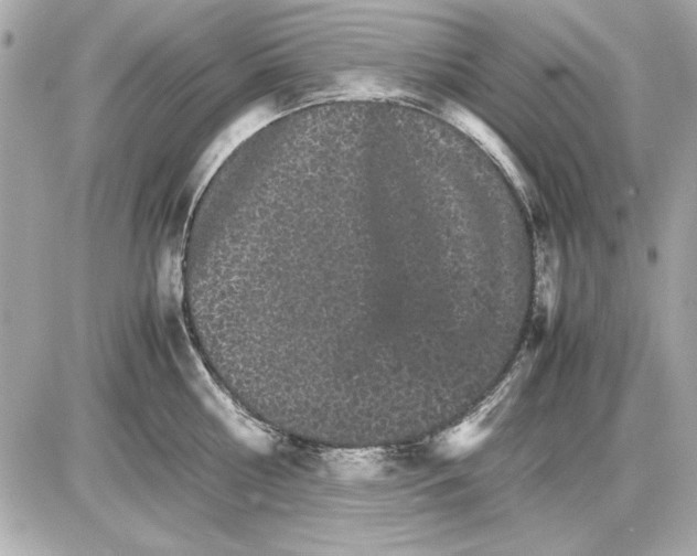 X0000085840810200704091722