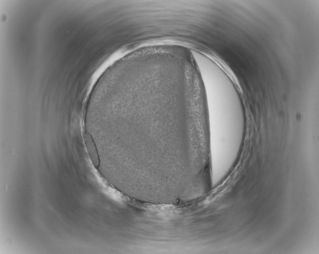 X0000085840813200704091722