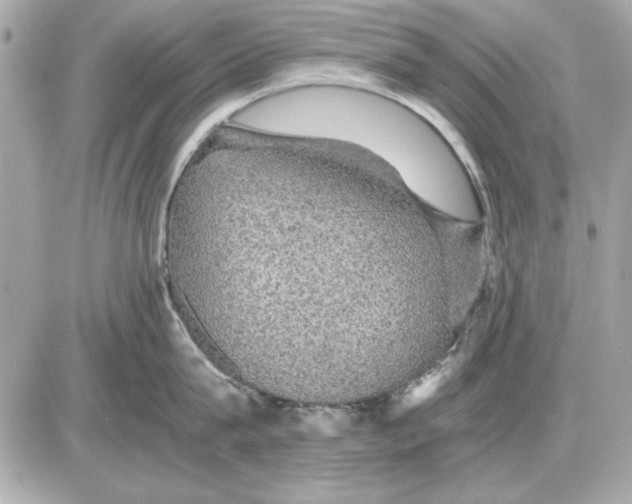 X0000085840815200704091722