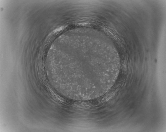 X0000085840817200704091721