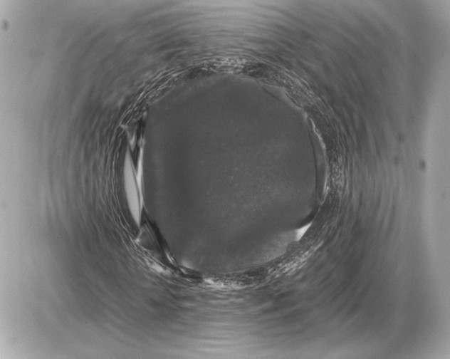 X0000085840818200704091721