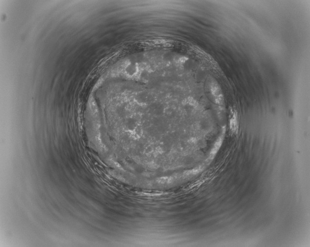 X0000085840819200704091721