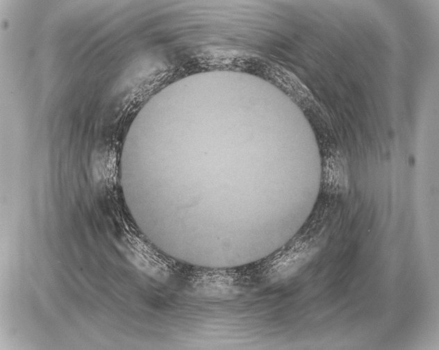 X0000085840820200704091721