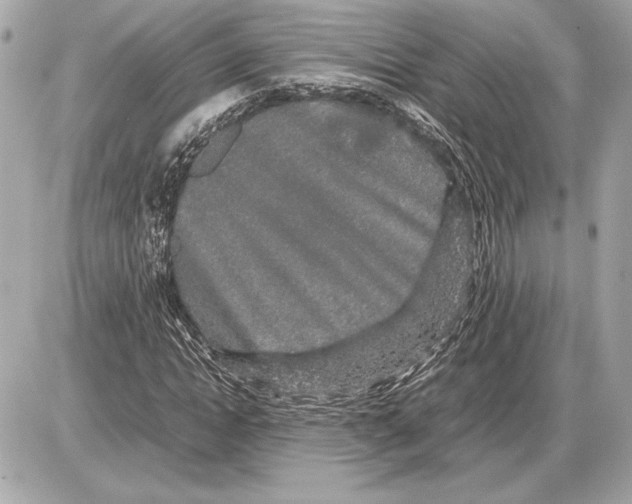 X0000085840822200704091721