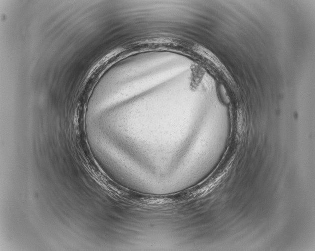 X0000085840826200704091721