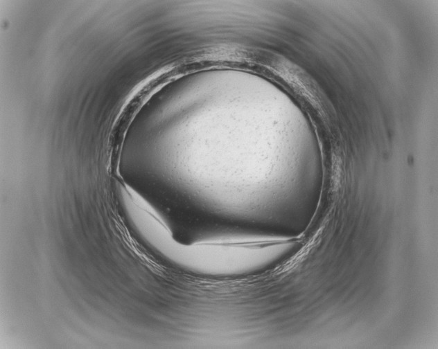 X0000085840830200704091721