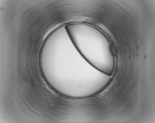 X0000085840834200704091721