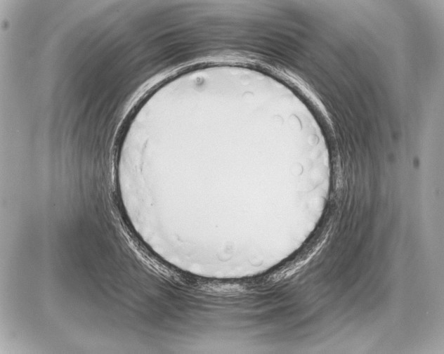 X0000085840837200704091721
