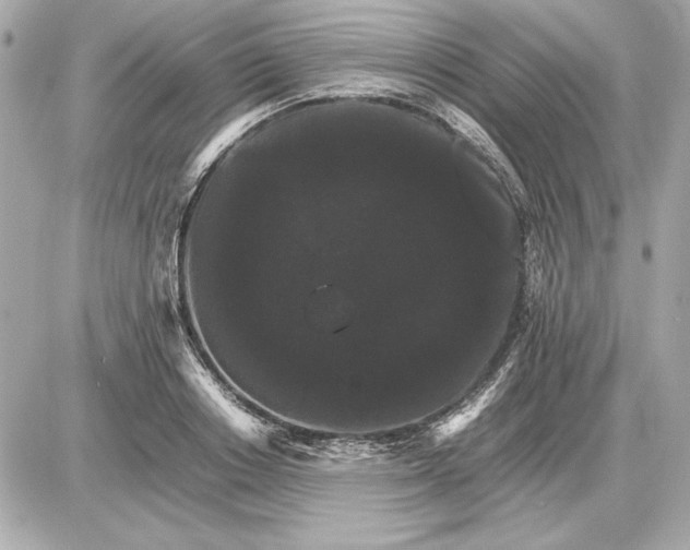 X0000085840842200704091721