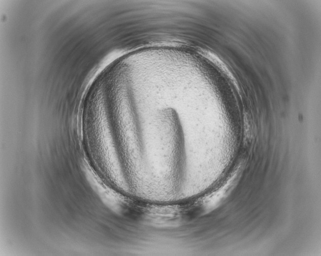 X0000085840843200704091721