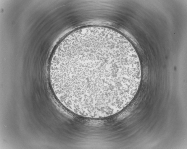 X0000085840848200704091721