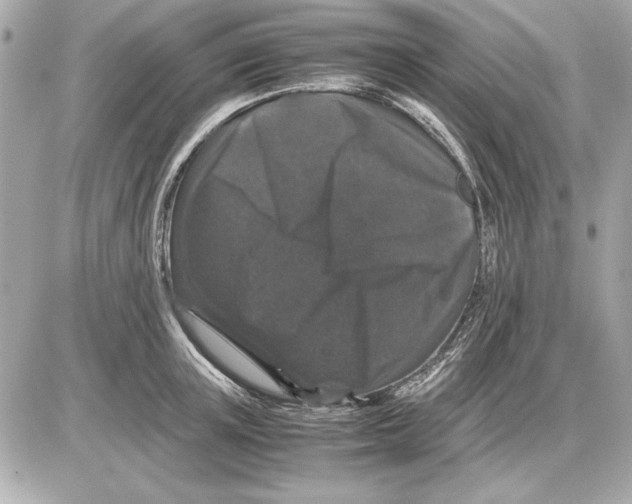 X0000085840851200704091721
