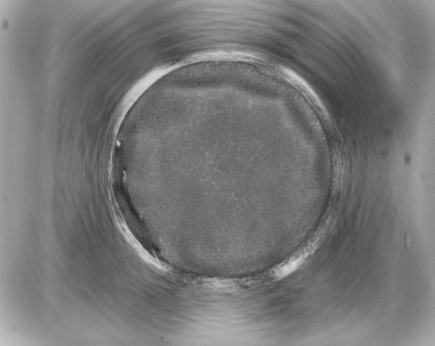 X0000085840852200704091721