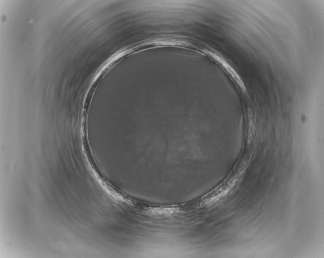 X0000085840853200704091721