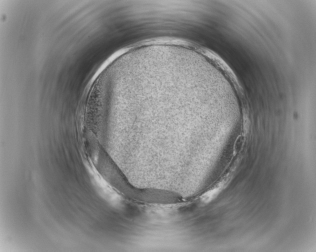 X0000085840860200704091722