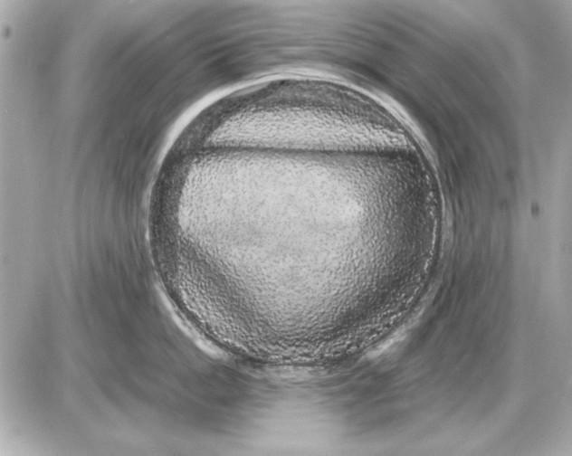 X0000085840862200704091722