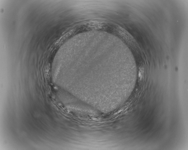 X0000085840867200704091721