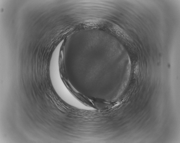 X0000085840868200704091721