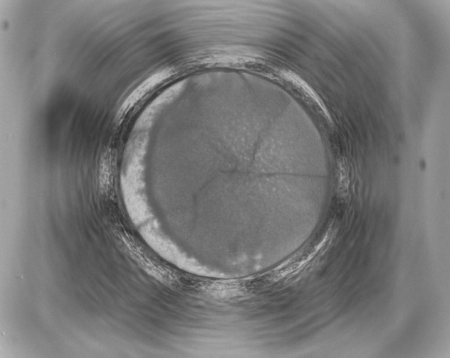 X0000085840874200704091721