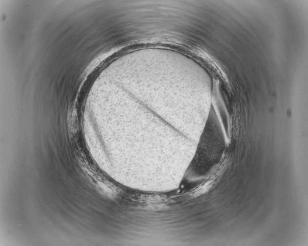 X0000085840876200704091721