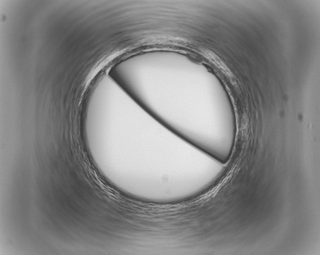X0000085840877200704091721